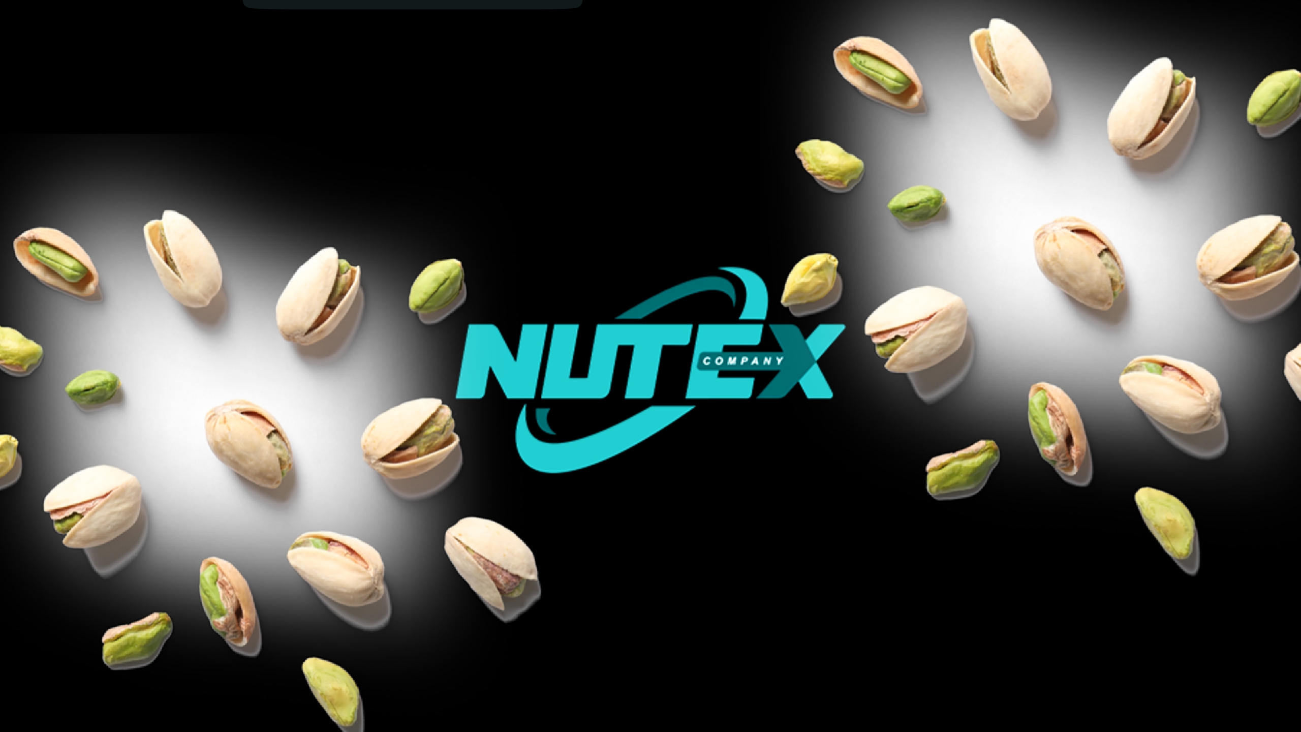 The Best Supplier and Seller of Pistachios in Iran_ Tejarat Pouya Company(Nutex)_ Iranian Pistachio Factory