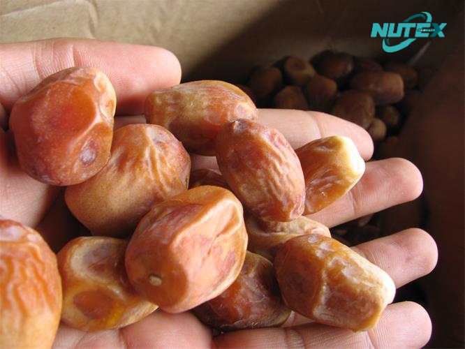 Zahdi Date Prices - Producer & Exporter of Zahedi Dates_ Nutex Dates