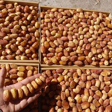 Zahdi Date Prices - Producer & Exporter of Zahedi Dates_ Nutex Dates