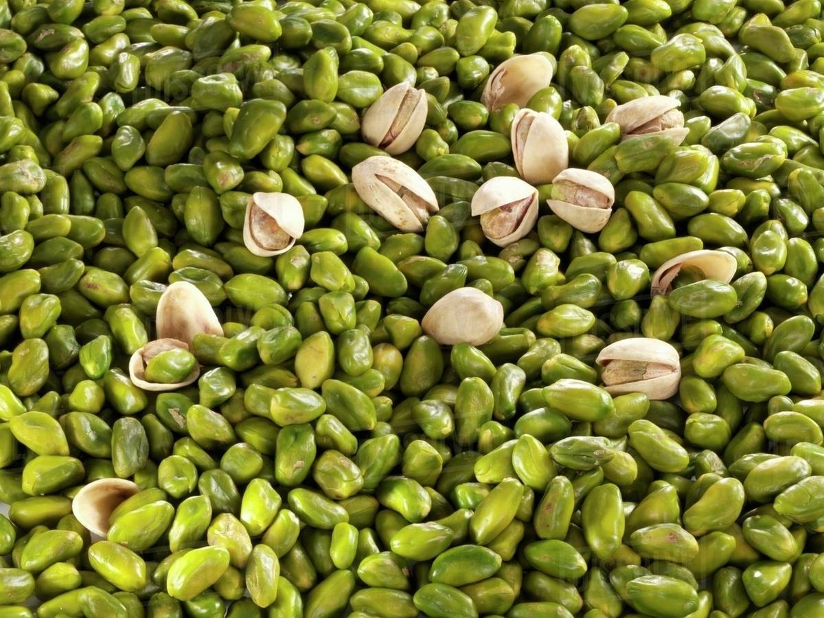 Features and Applications of Green Pistachio Kernels_ Nutex