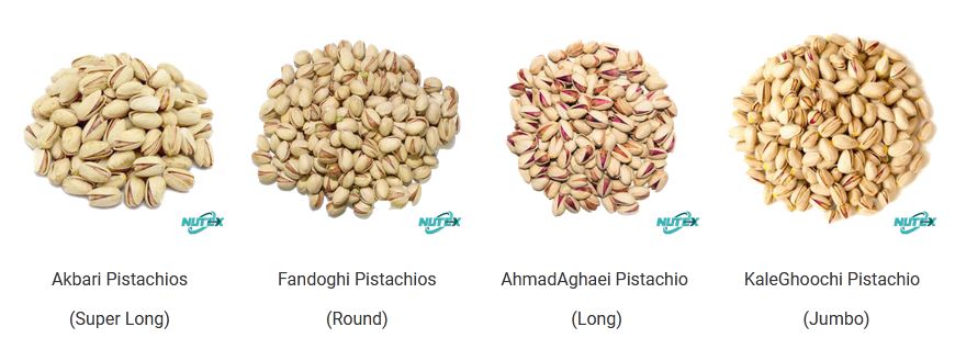 Buy Pistachios from IRAN | Pouya Trading