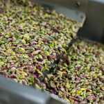Manufacturer of Iranian Pistachio Kernels - Raw, Roasted and Salted_ Nutex Company