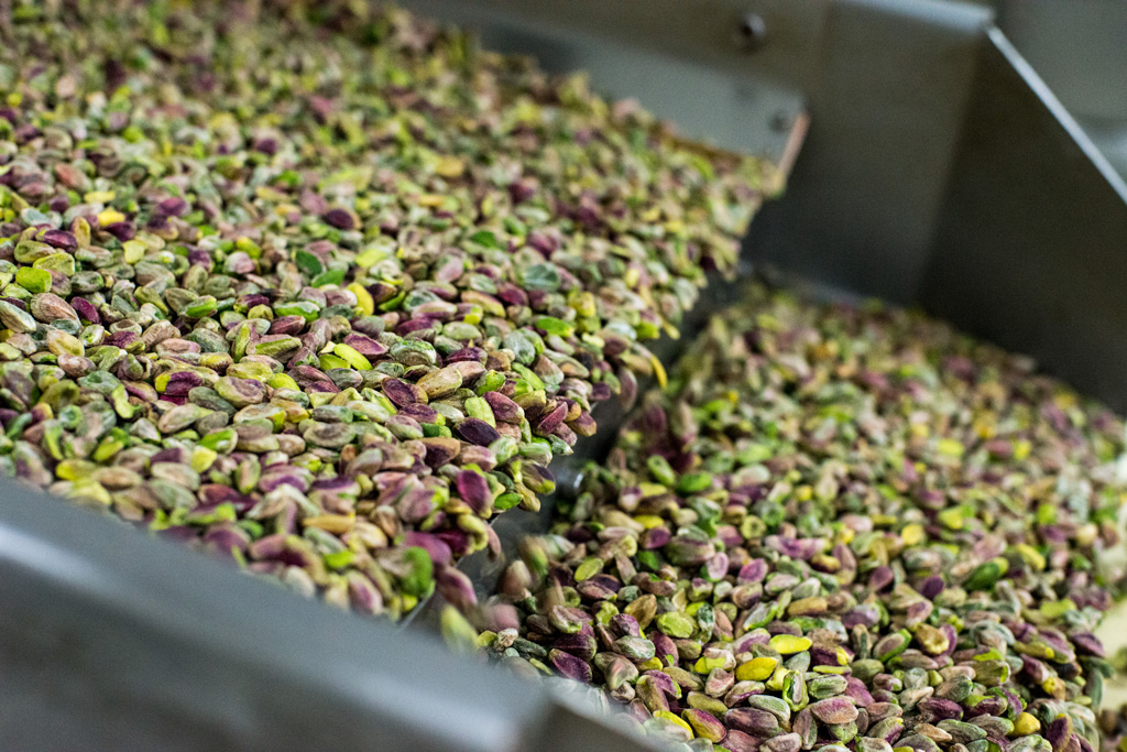 Export of Pistachio Kernels to India in Cheap Price| Nutex Iranian Nuts