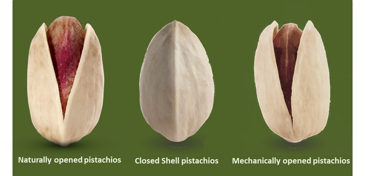 Mechanical Open Pistachio Prices_Nutex Pistachio And Nuts