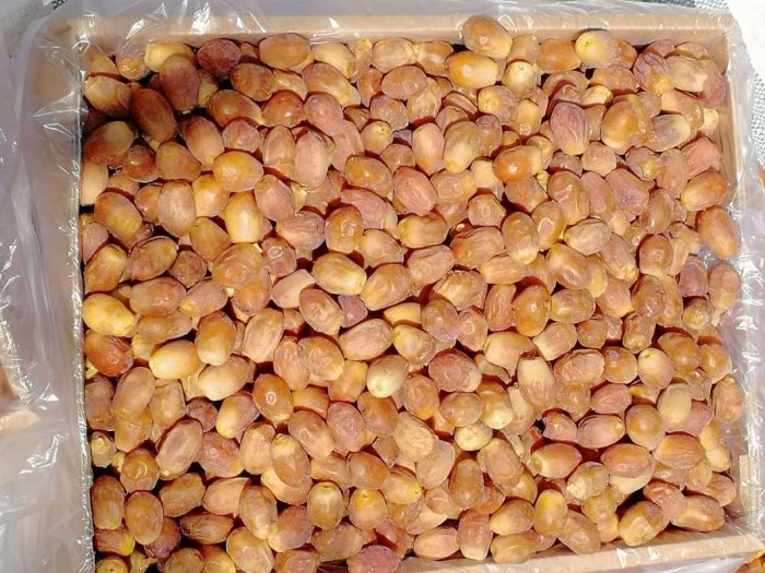 Export of Zahedi dates to all countries_ Zahdi Dates Price - Zahedi Date Exporter - Major Dates Manufacturer_ Nutex Co