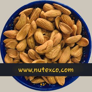 The Best Manufacturer of Mamra Almonds in Saman‚ Iran