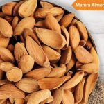 Inquiry the Wholesale Price of Iranian Mamra Almonds_ Nutex Dried Fruit Company