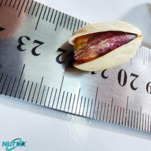_Bulk Distribution of Iranian Pistachios in the European Market_ Nutex Pistachio