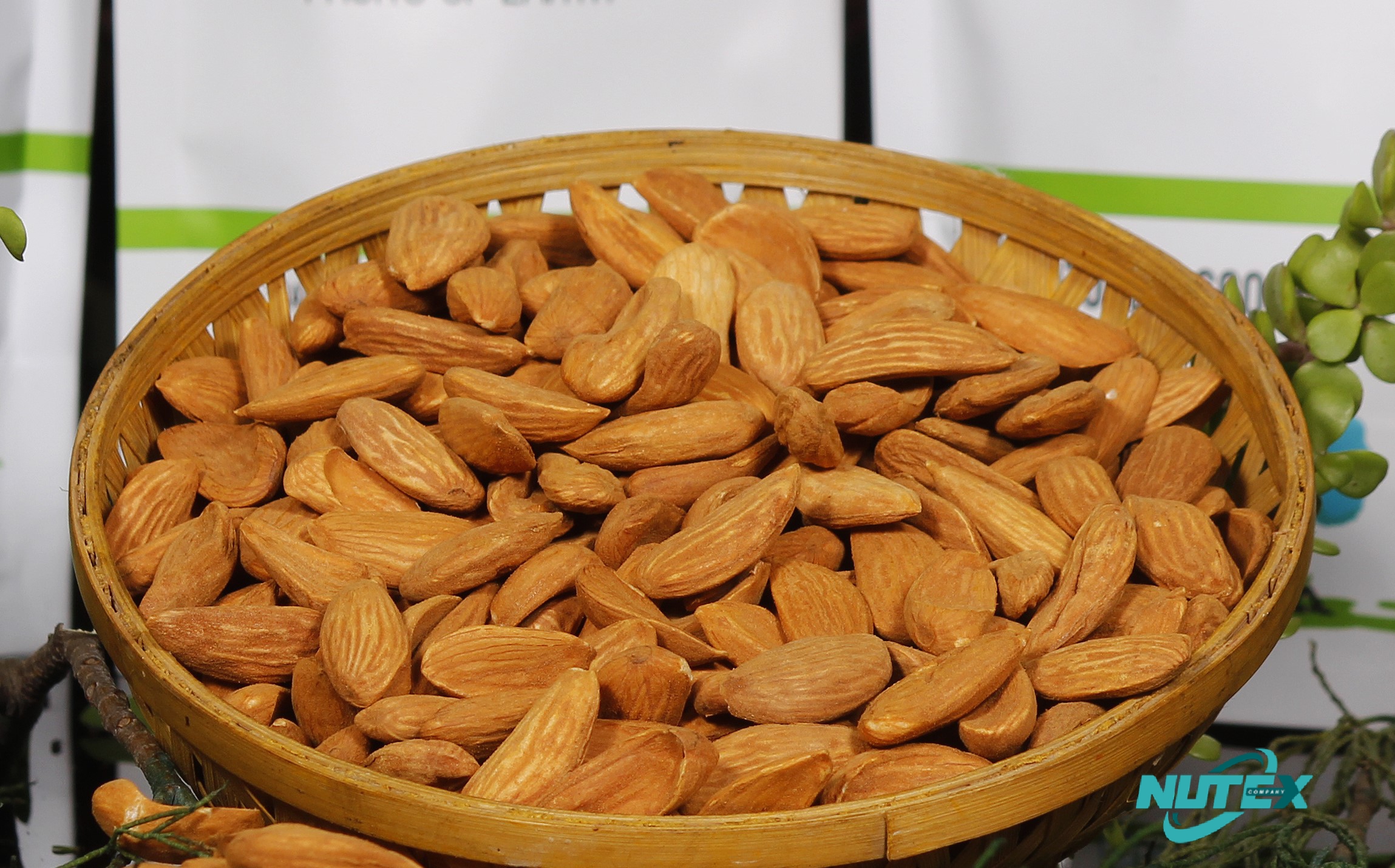 Production and export of quality Mamra almonds_Inquiry the Wholesale Price of Iranian Mamra Almonds_ Nutex Dried Fruit Company