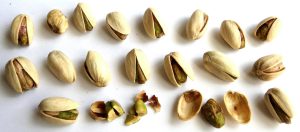 Manufacturer & Exporter of Pistachios in Iran | Nutex Pistachio Factory