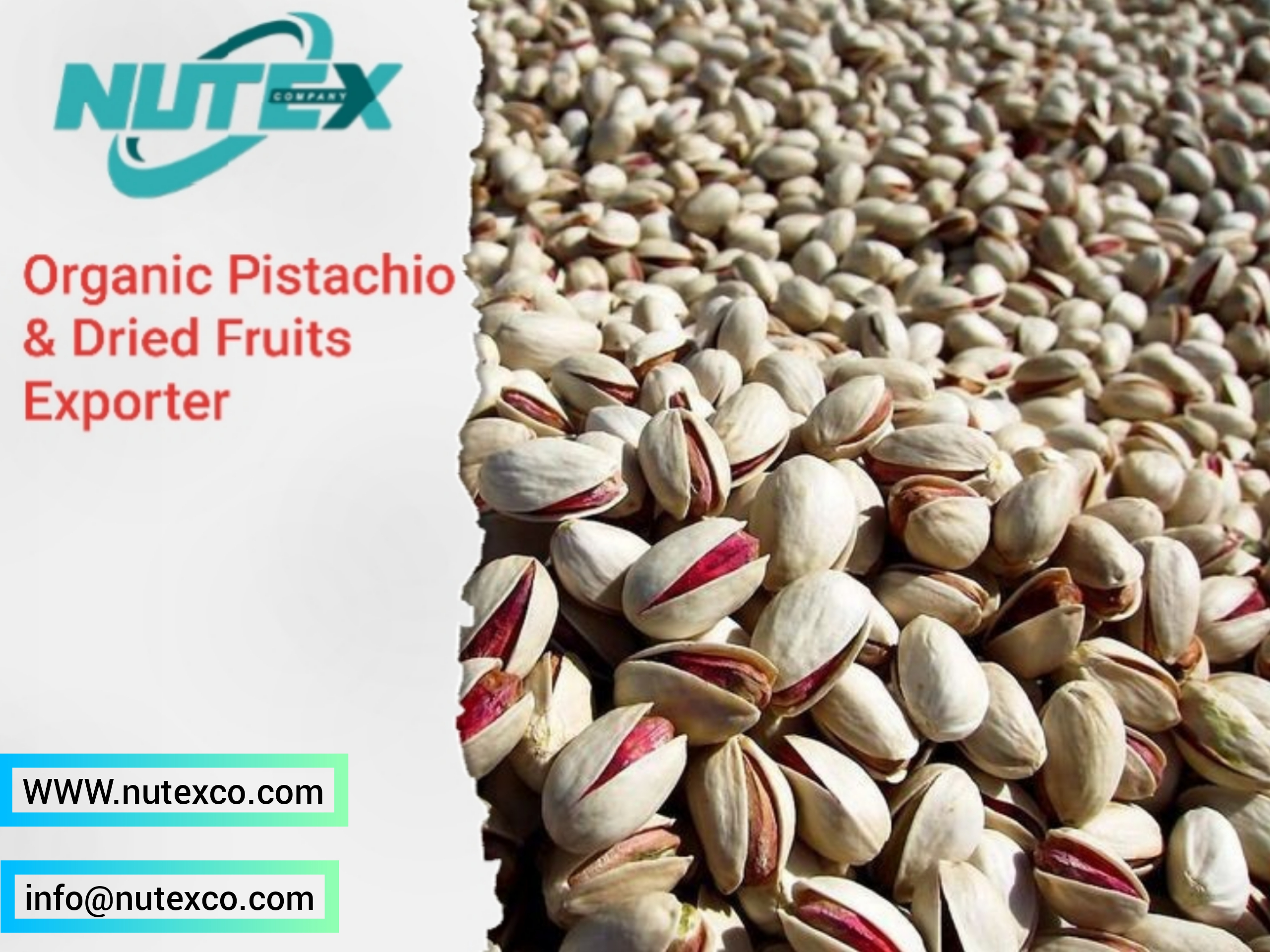 Organic Pistachios & Dried Fruits Exporter_Nutex Company