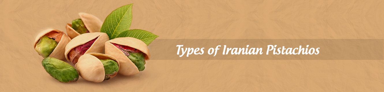 Types of Iranian pistachios for export:Manufacturer & Exporter of Pistachios in Iran | Nutex Pistachio Factory