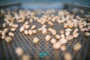 How to export/import dried fruits and pistachios