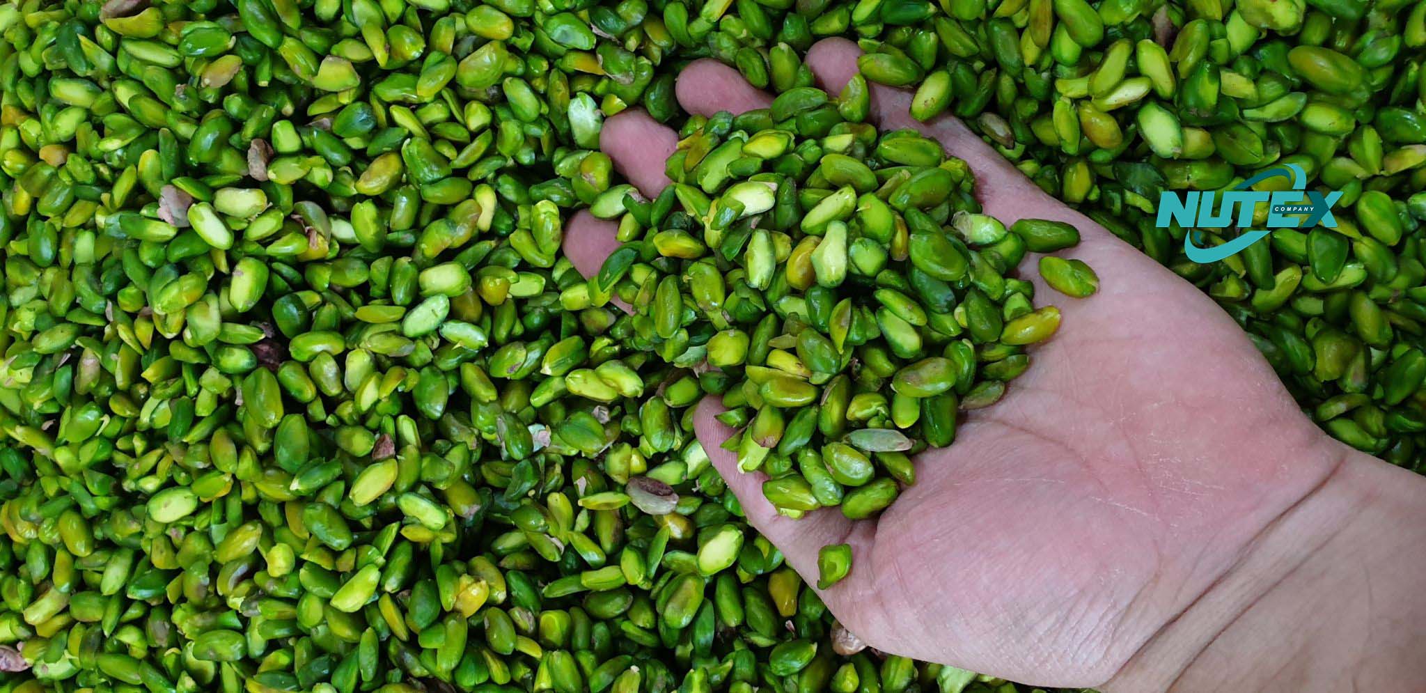 How to produce green pistachio kernels_Recognizing the best green pistachio kernels for export from Iran_ Nutex Pistachio Company