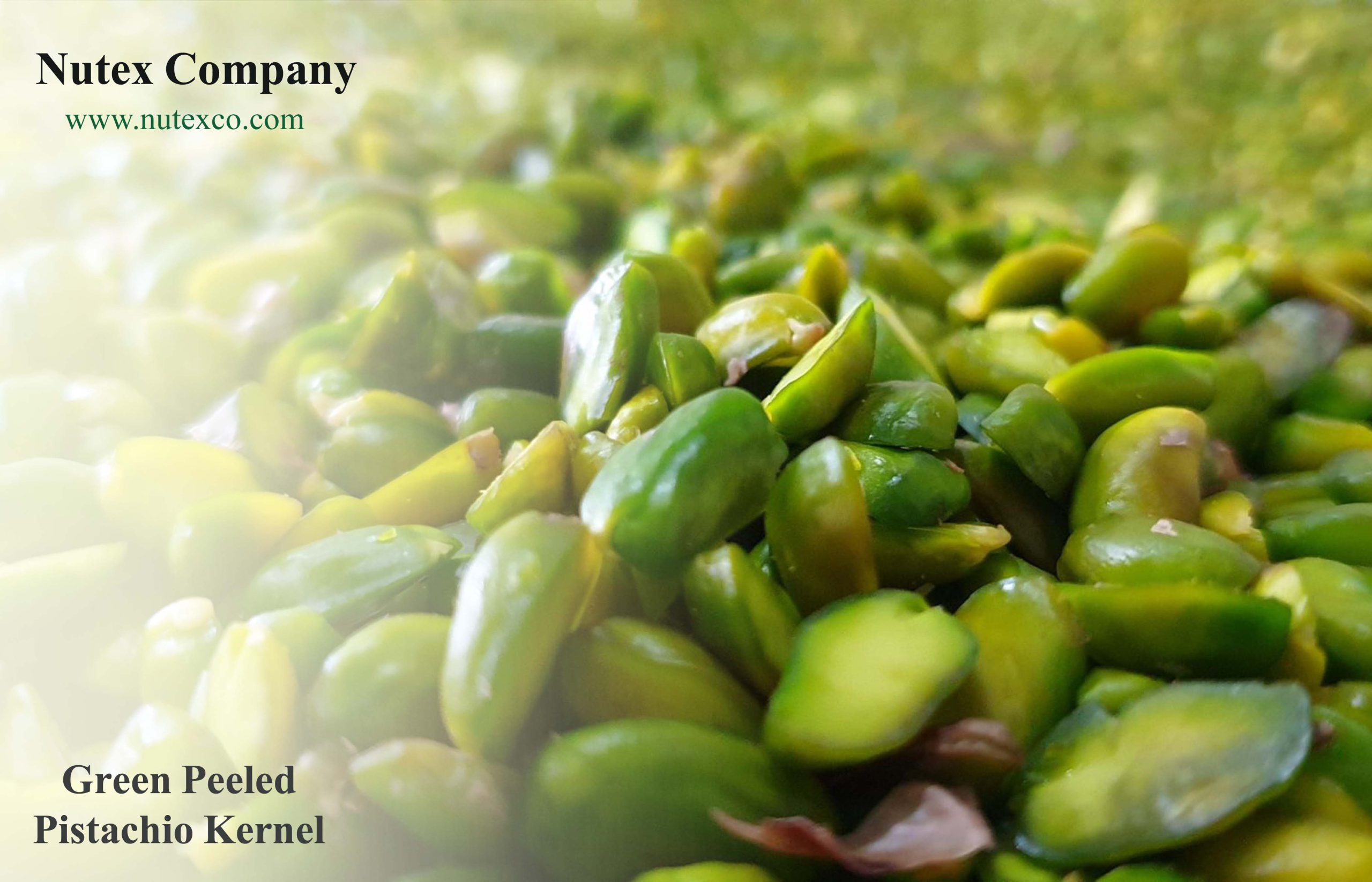 Recognizing the best green pistachio kernels for export from Iran_ Nutex Pistachio Company
