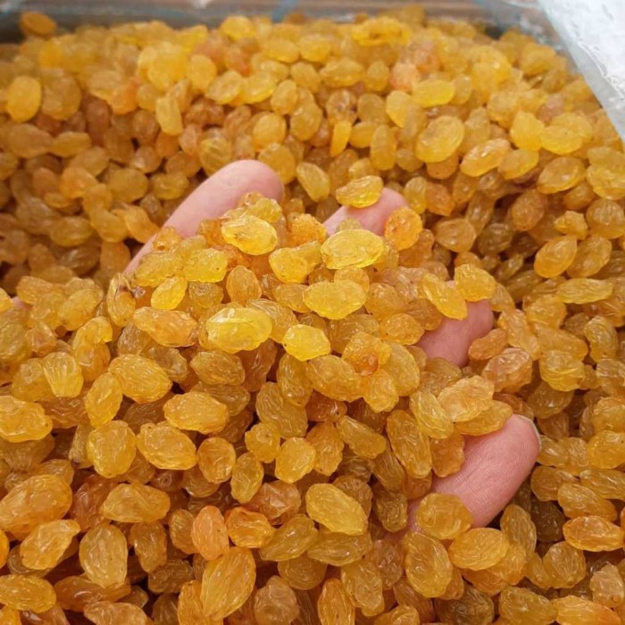 Golden raisins (Anguri):Buy Persian Raisin, Golden & Sultana_Nutex Company