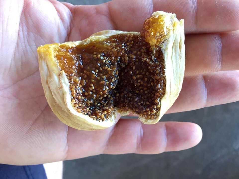 Benefits of dried figs_Iranian Dried Figs Bulk Supply , Anjeer - Nutex Dried Fruits