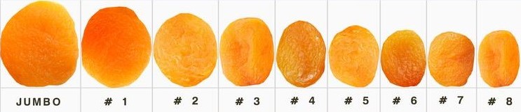Nutex Dried Apricot