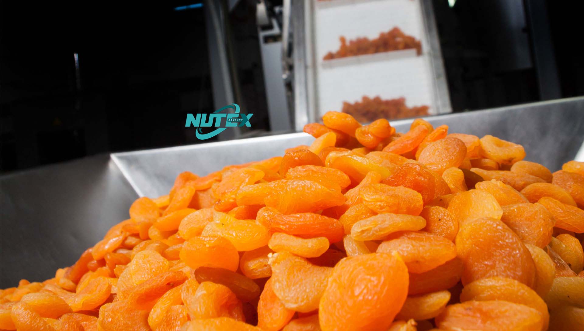 Persian Dried Apricot Shopping Center_Manufacturer and Exporter of Dried Apricots in Iran_ Nutex Company