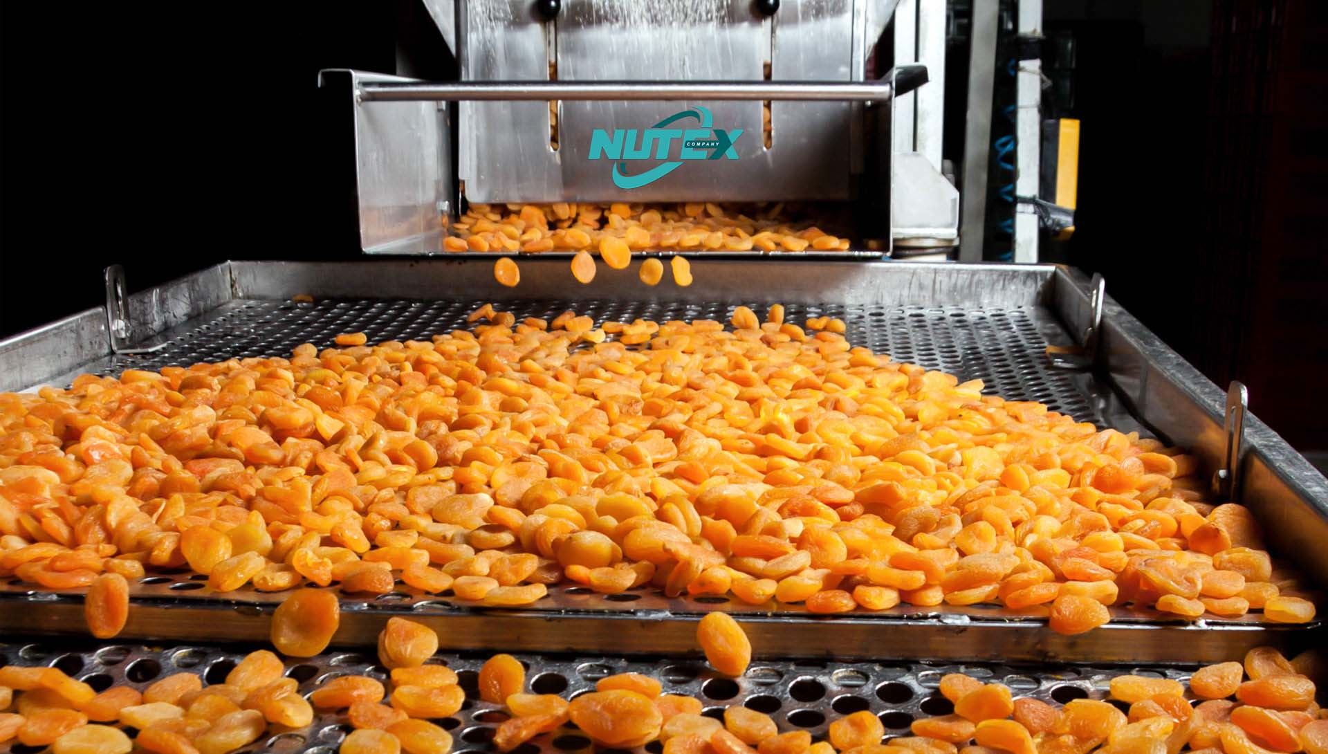 Manufacturer and Exporter of Dried Apricots in Iran_ Nutex Dried Apricots