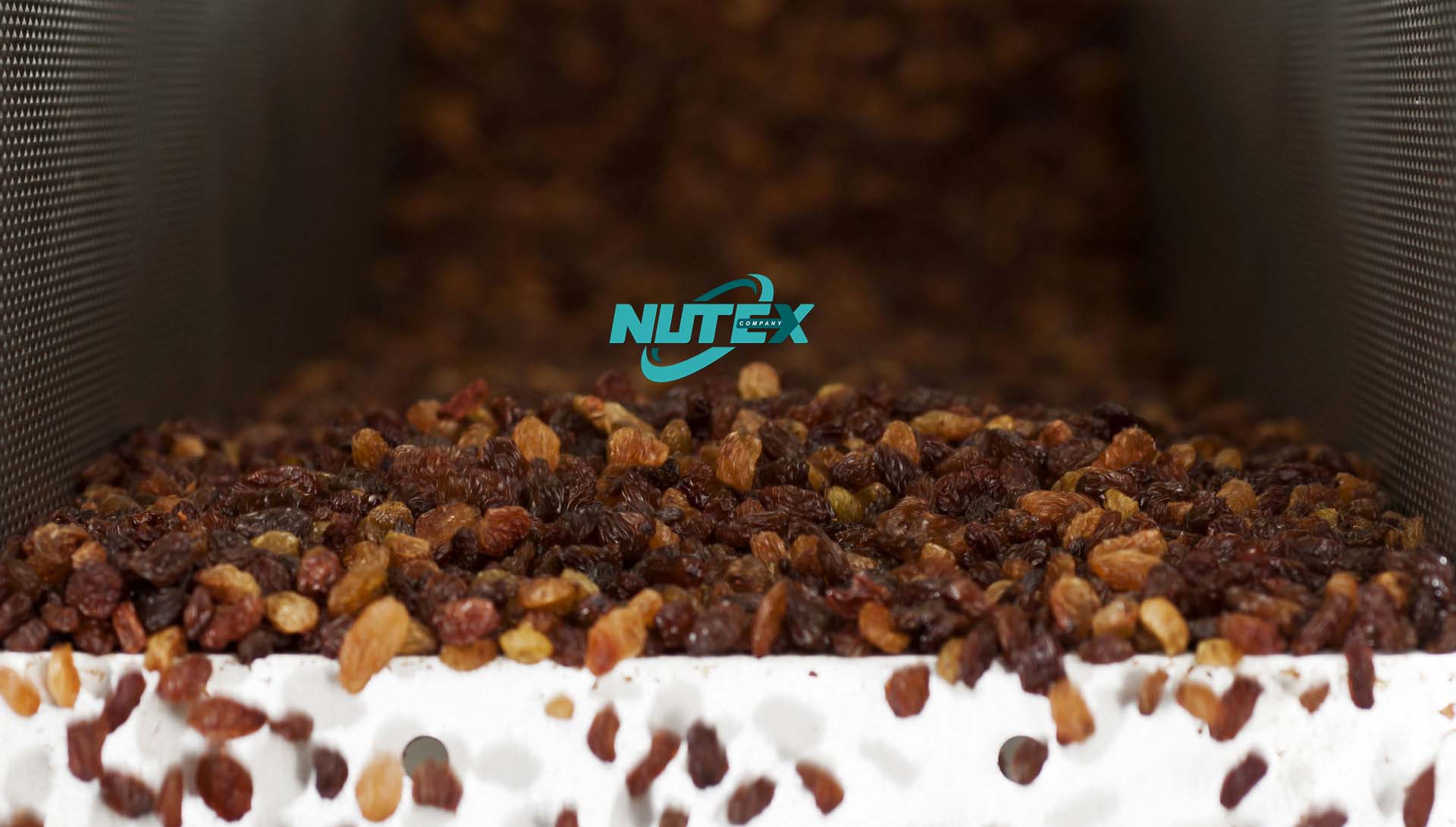 Buy raisins directly from the factory_Iranian Raisin Production and Export Company_ Nutex Company