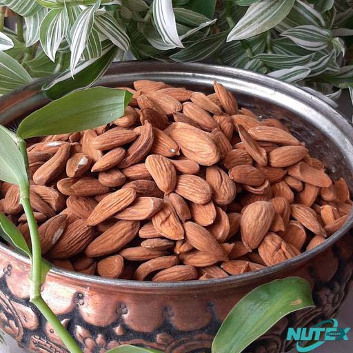 Mamra almond kernel packaging for export- Price List of Major Iranian Mamra Almonds_Nutex Company