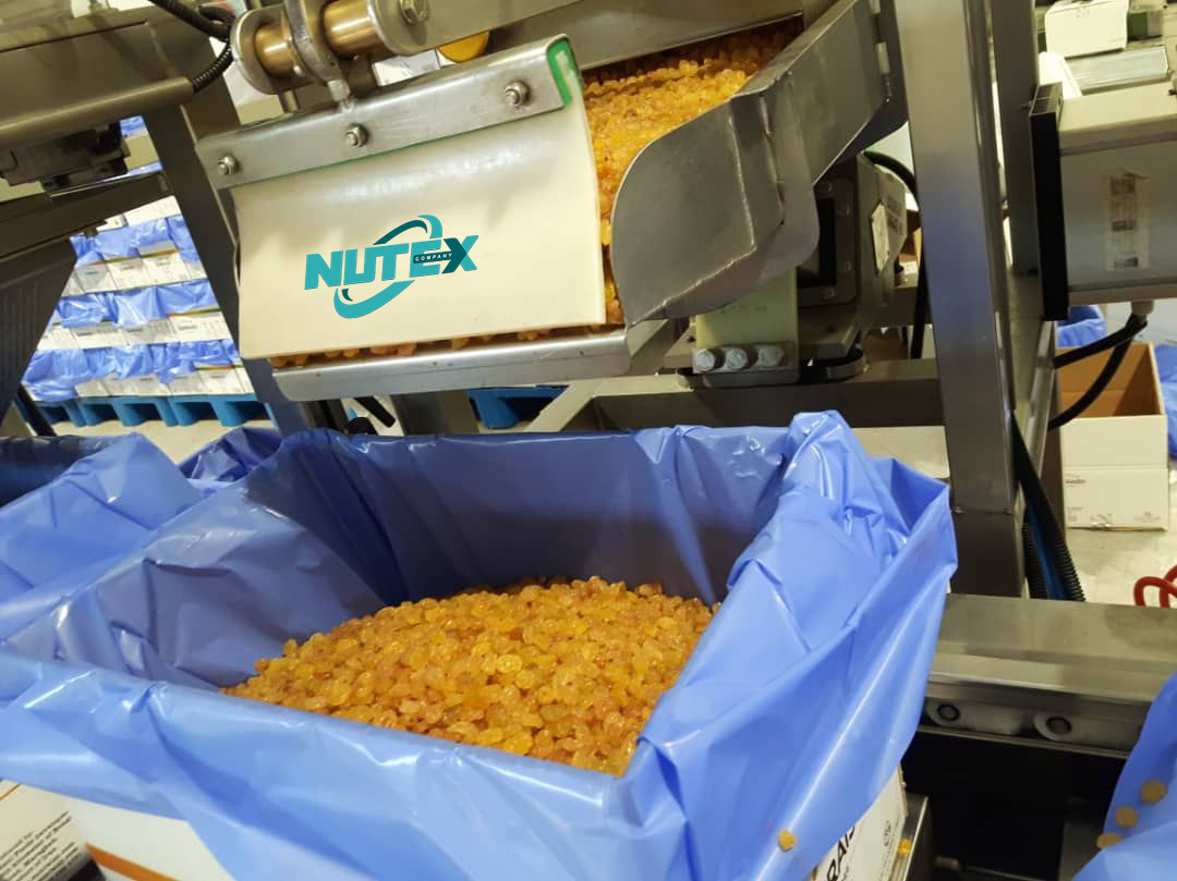Raisin Manufacturers in Iran- Raisin exporter company in Iran - Nutex Dried Fruits