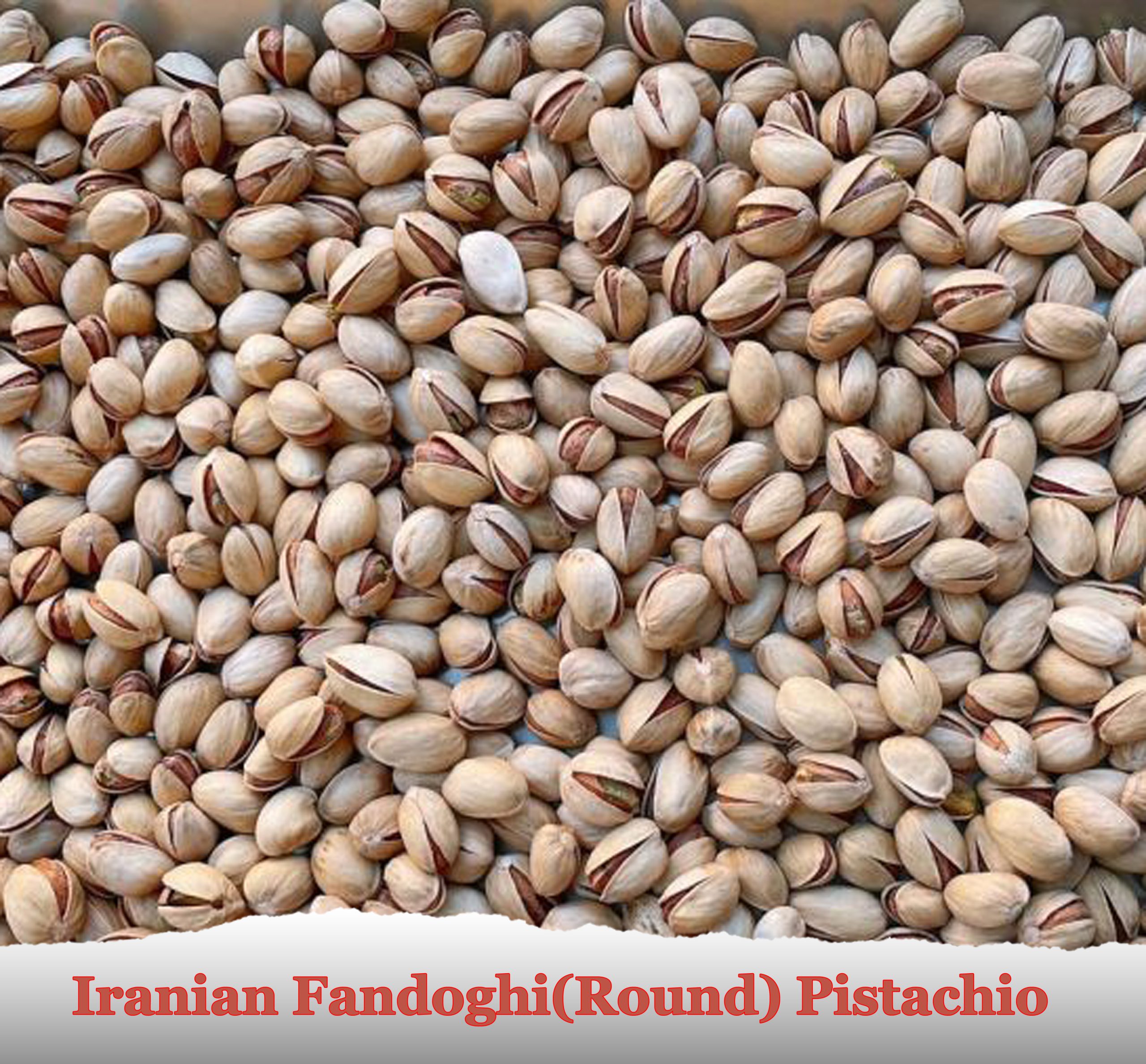 Nutex Dried Fruit Group as an Exporter of Fandoghi Pistachios - The Largest Supplier of Fandighi Pistachios in Bulk - Nutex Nuts