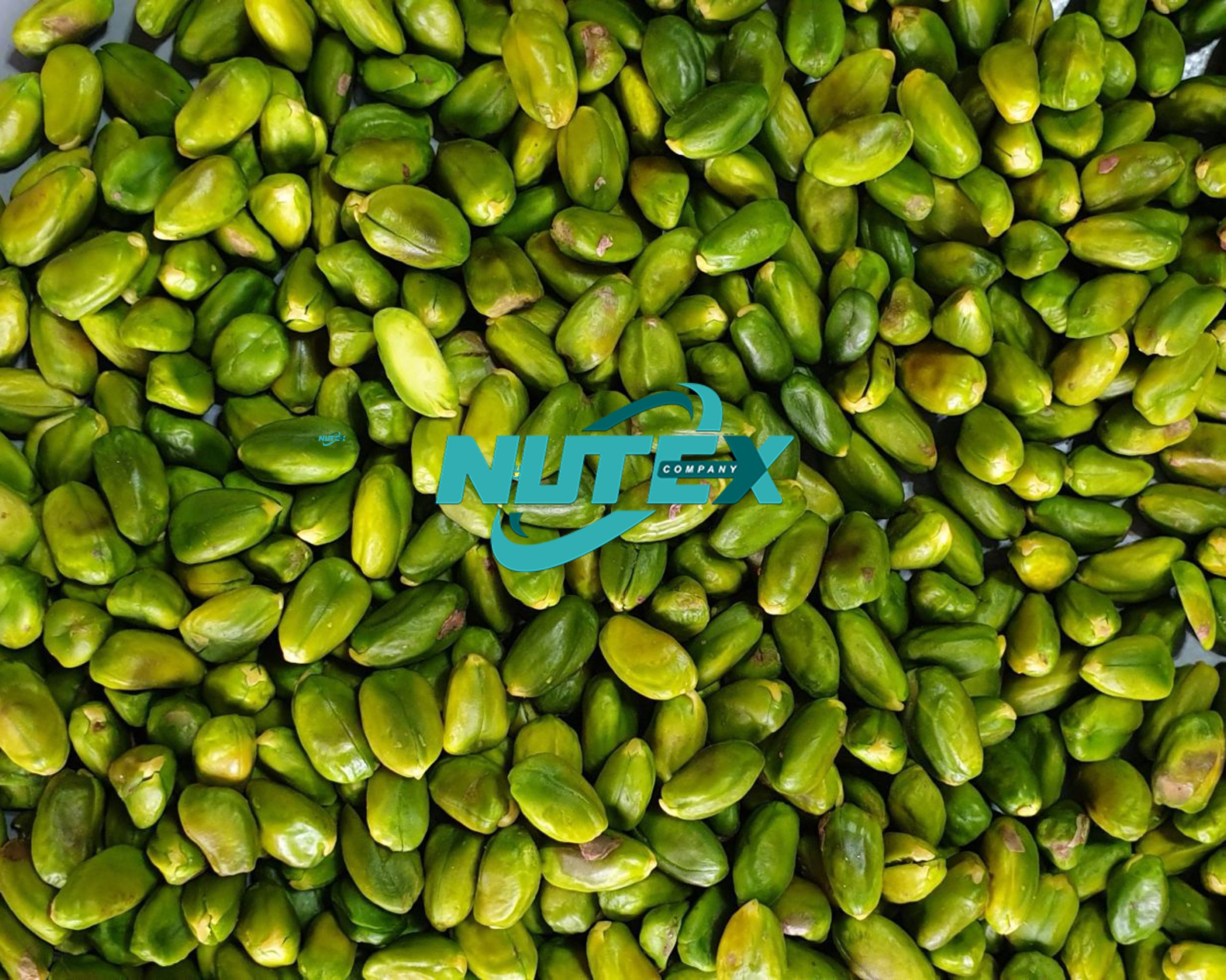 Price of quality pistachio kernels_ Manufacturer of Iranian Pistachio Kernels - Raw, Roasted and Salted_ Nutex Company