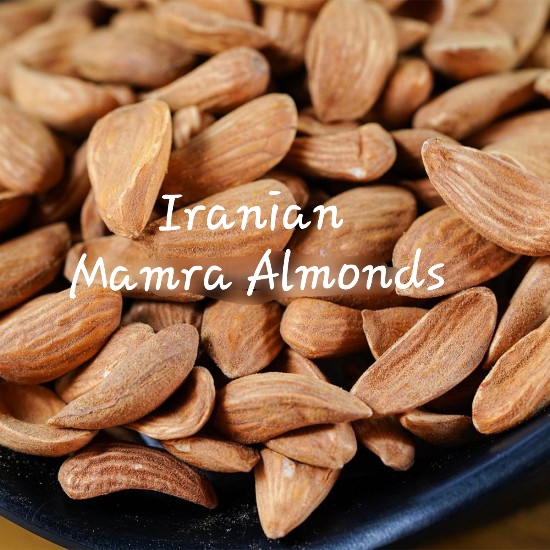 Iranian Mamra almond price_ Different Benefits of Mamra Badams – Buy Iranian Almonds_ Nutex Company