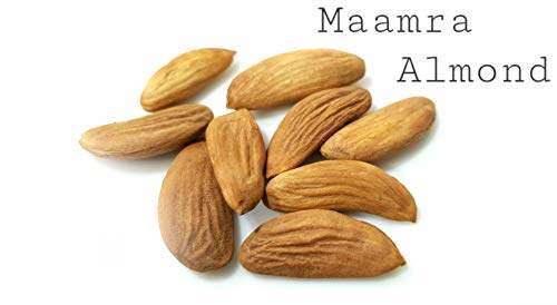 What is Mamra almond and how is it different from ordinary almond?_Nutex Company