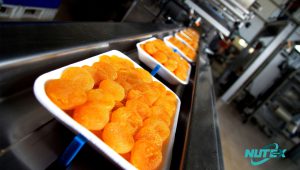 Production and Supply of Iranian Dried Apricots: Pouya Trade Company (Nutex)