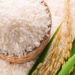 The best supplier and exporter of Indian basmati & non-basmati rice_ Nutex Company