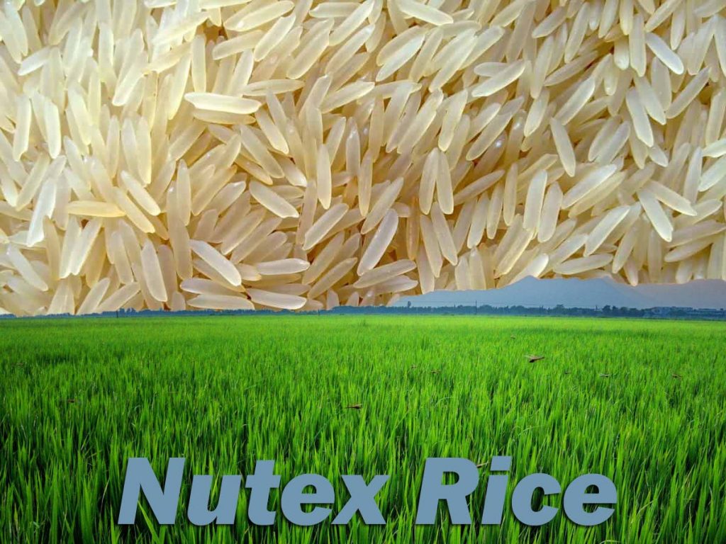 Basmati Rice Price List in India Buy Rice at Best Prices Nutex