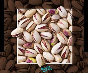 Buy Iranian & California pistachios for import - Nutex Company
