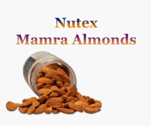 Mamra Almond Shahrekord-Iran in Nutex Company Factory