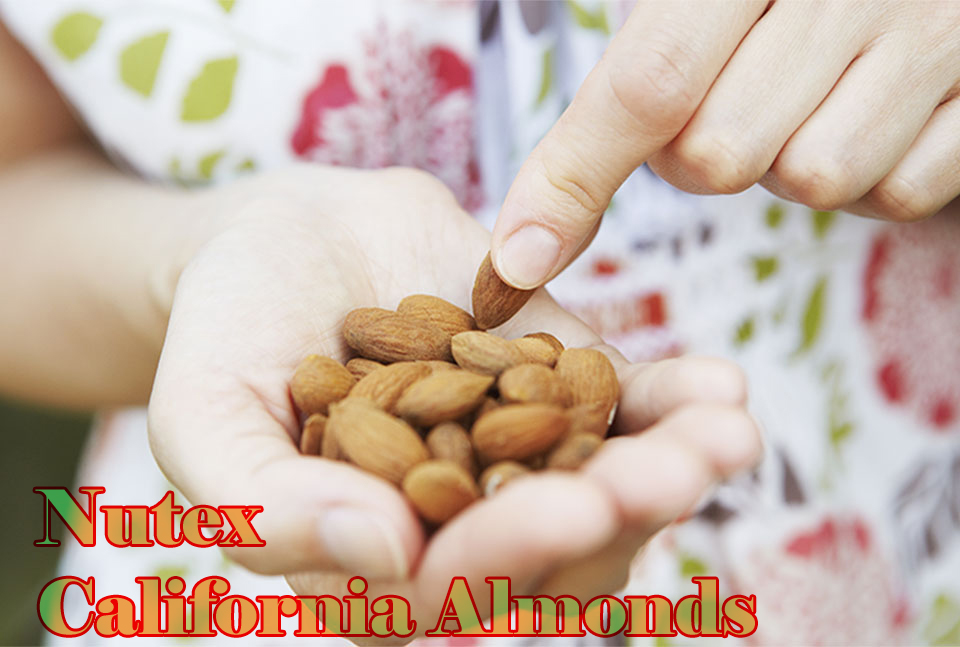 California Almond - California Badam Price‚ Supplier _ Nutex California Almonds