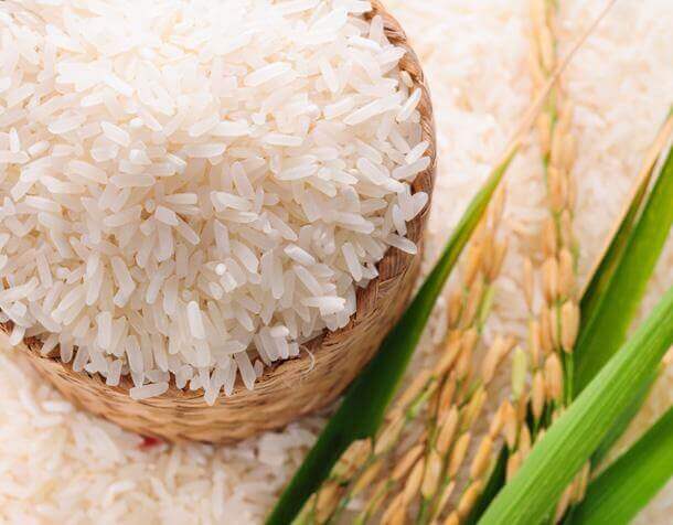 Indian Rice Export/Import Market - The Best Basmati Rice in India for Wholesale _ Nutex Company