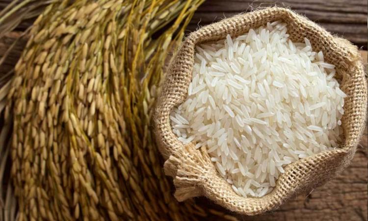 How to Purchase Indian Basmati Rice Directly? - The Best Basmati Rice in India for Wholesale _ Nutex Company