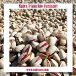 Iran's largest pistachio exporter - Pouya Trading Company‚ Nutex