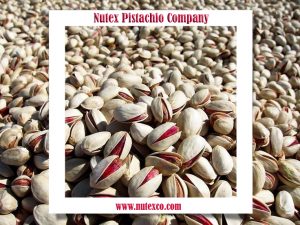 Iran's largest pistachio exporter - Pouya Trading Company‚ Nutex