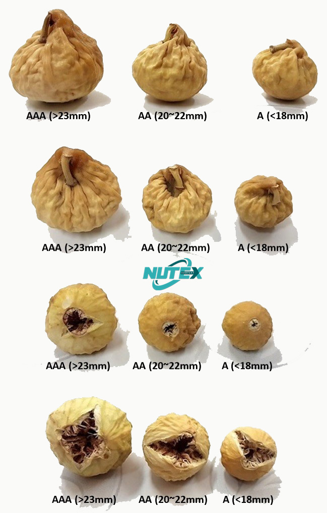 Types of Iranian dried figs and their grading - Dried Figs’ Sale for Import - Buy Iranian Dried Fruit - Nutex Company