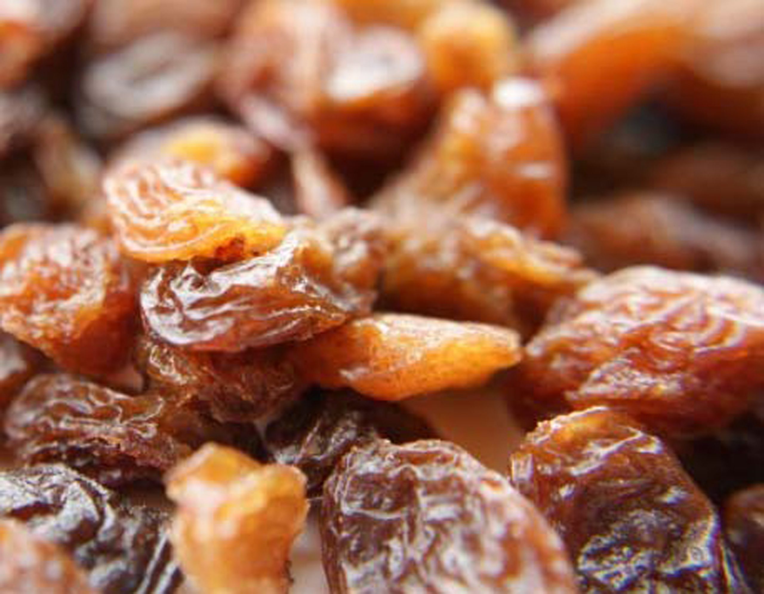 Bulk sale of Iranian raisins