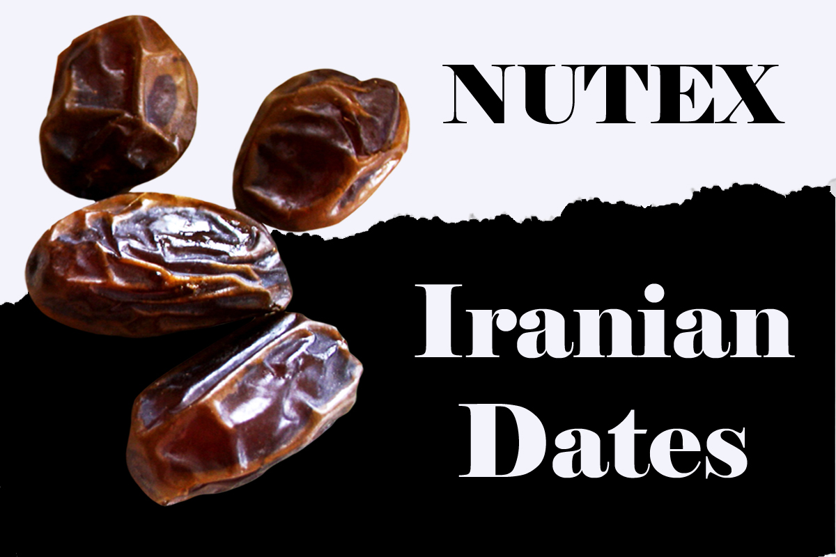 Date wholesalers - Iranian Date Price Today _ Nutex Company