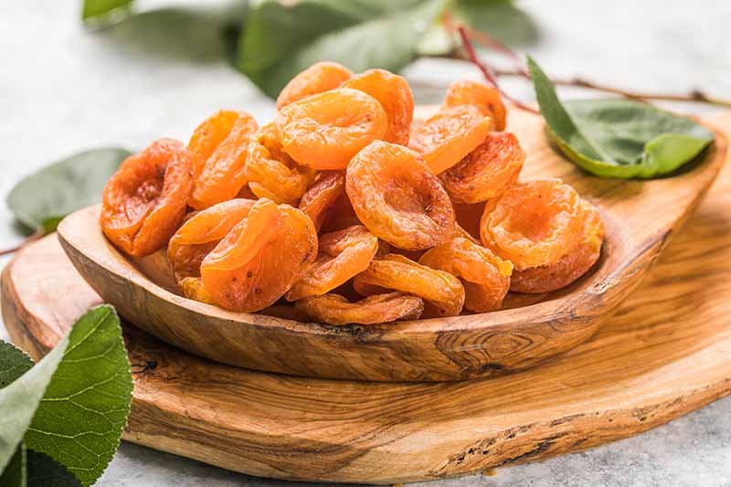 Properties of dried apricots - Dried Apricot Sales and Export Center - Nutex Dried Fruits