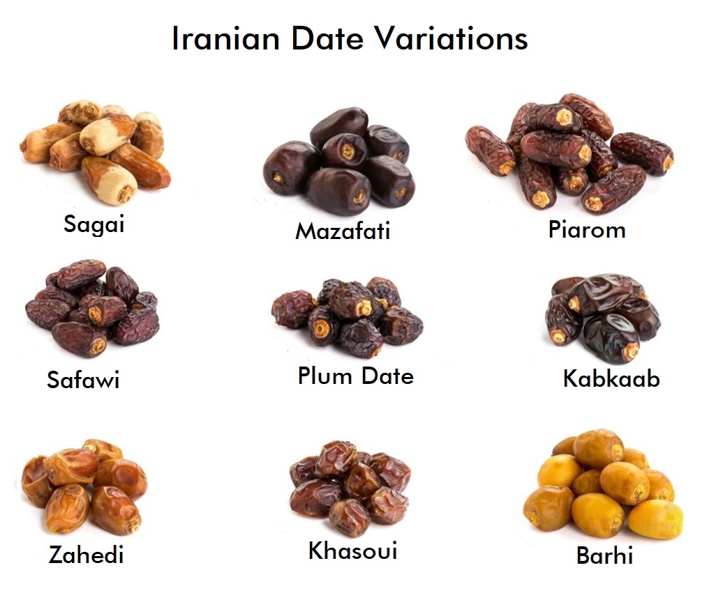 Dates Variety in Iran - Nutex Company