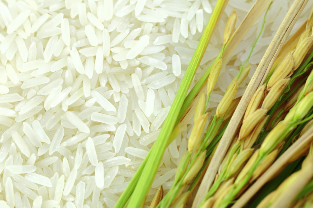 Basmati Rice: Buy From Nutex Company