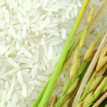 Indian Rice for Wholesale in Asian Markets - Indian Rice Supplier _ Nutex Rice Company
