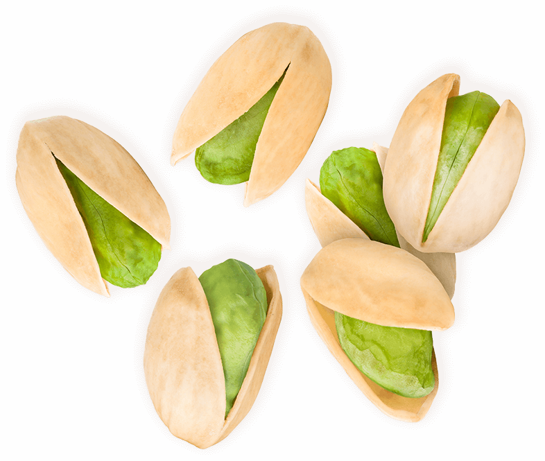 America's largest pistachio importers - Pistachio prices in the United States - world supply of pistachios - Nutex Company