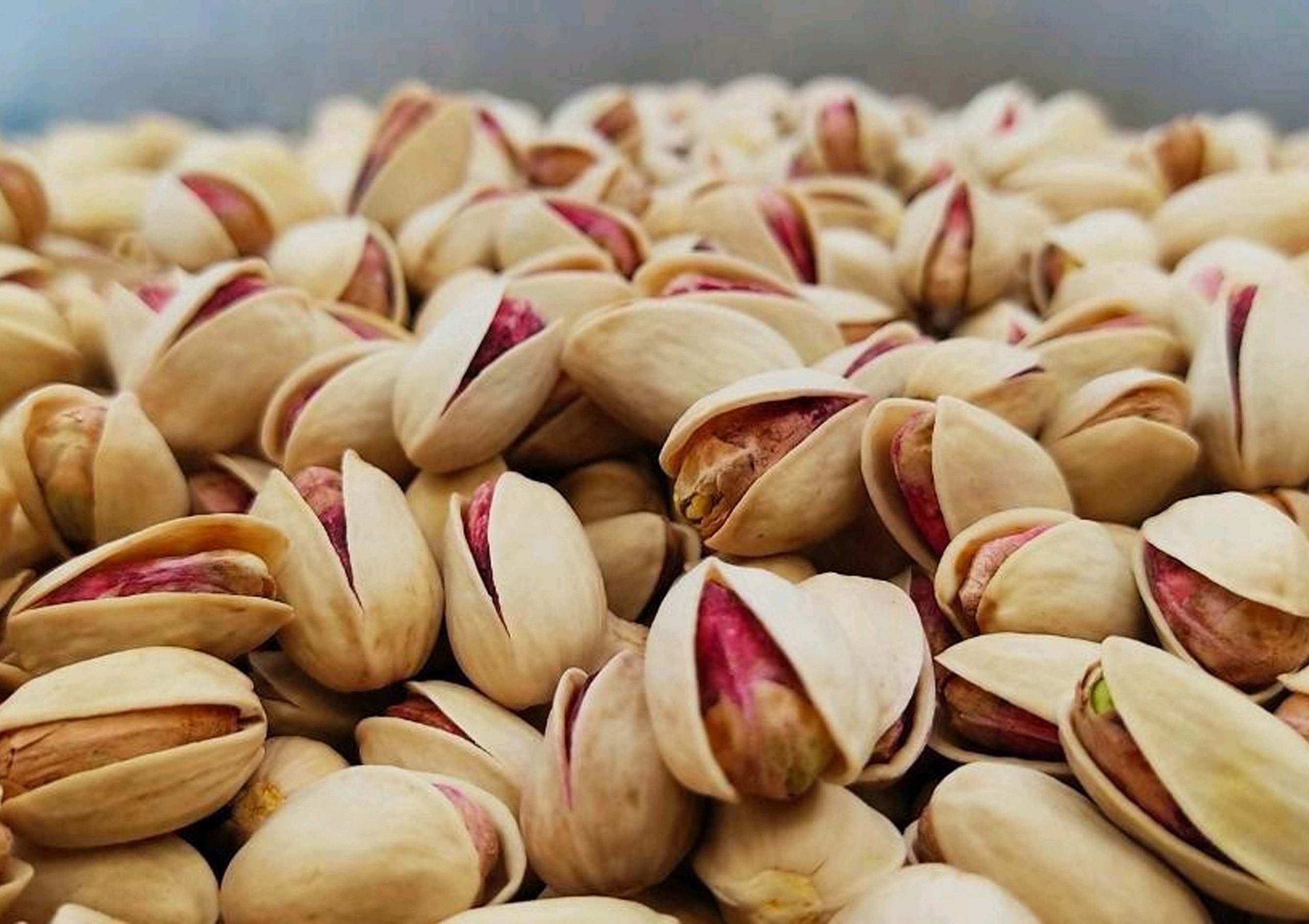 Types of pistachios; Buy pistachios: